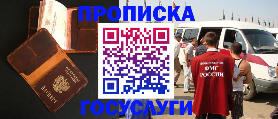 прописка законно в Сольцах