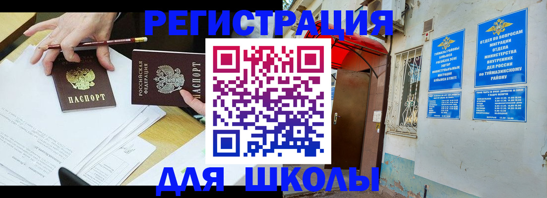 прописка 2025 в Сольцах
